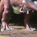 Another Trip to Banham Zoo, Banham, Norfolk - 6th June 2012, Fred flees from a Tyrannosaurus Rex