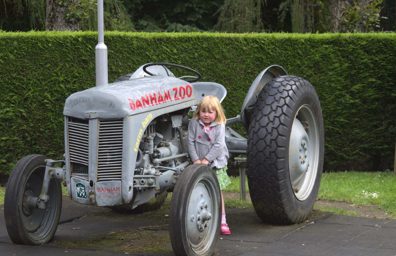 Lydia on the Banham Zoo Fergie tractor from Another Trip to Banham Zoo, Banham, Norfolk - 6th June 2012