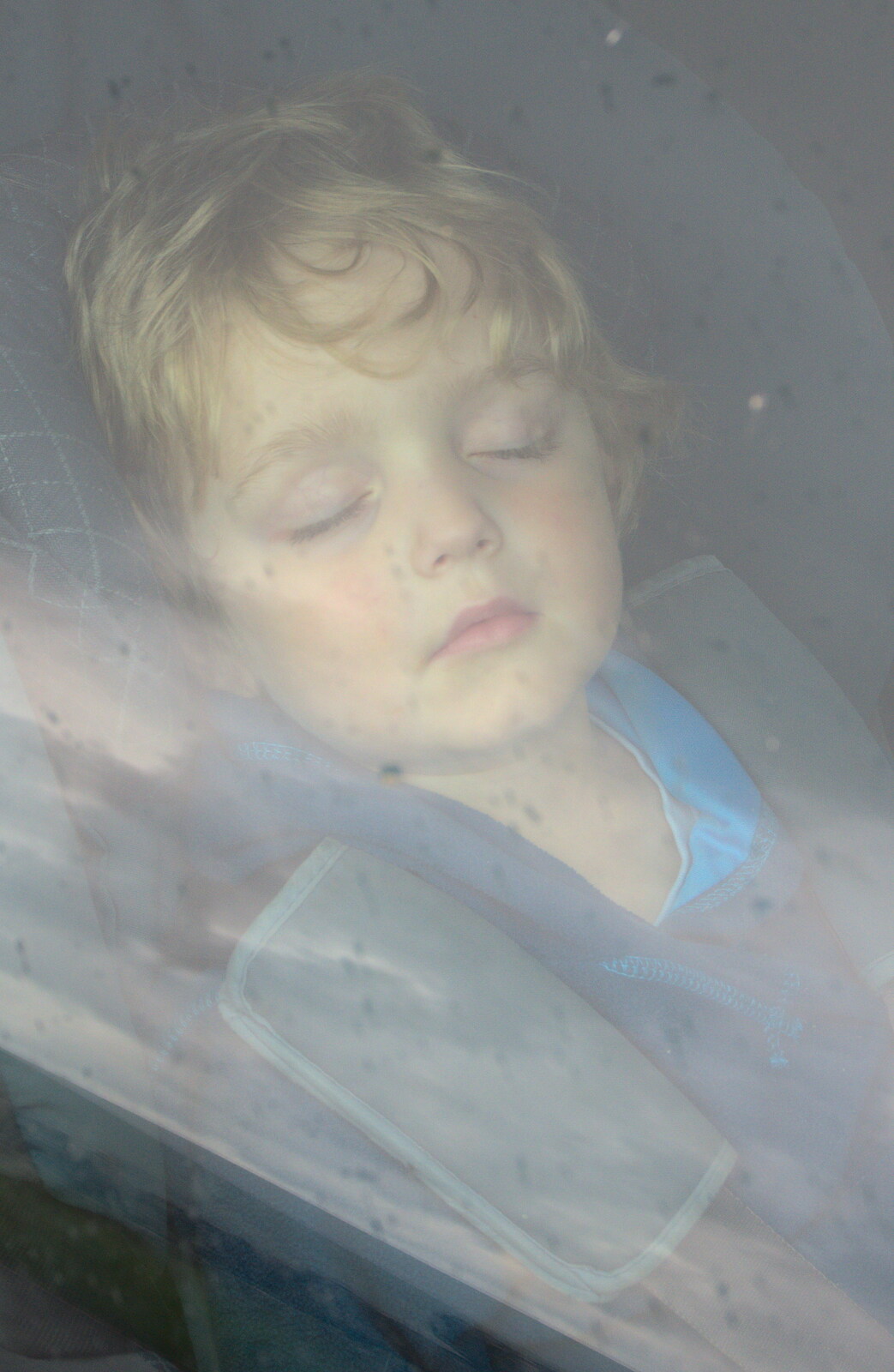 Fred has a doze in the back of the car from A Visit to the Aquarium, The Barbican and Dartmoor, Plymouth, Devon - 10th June 2012