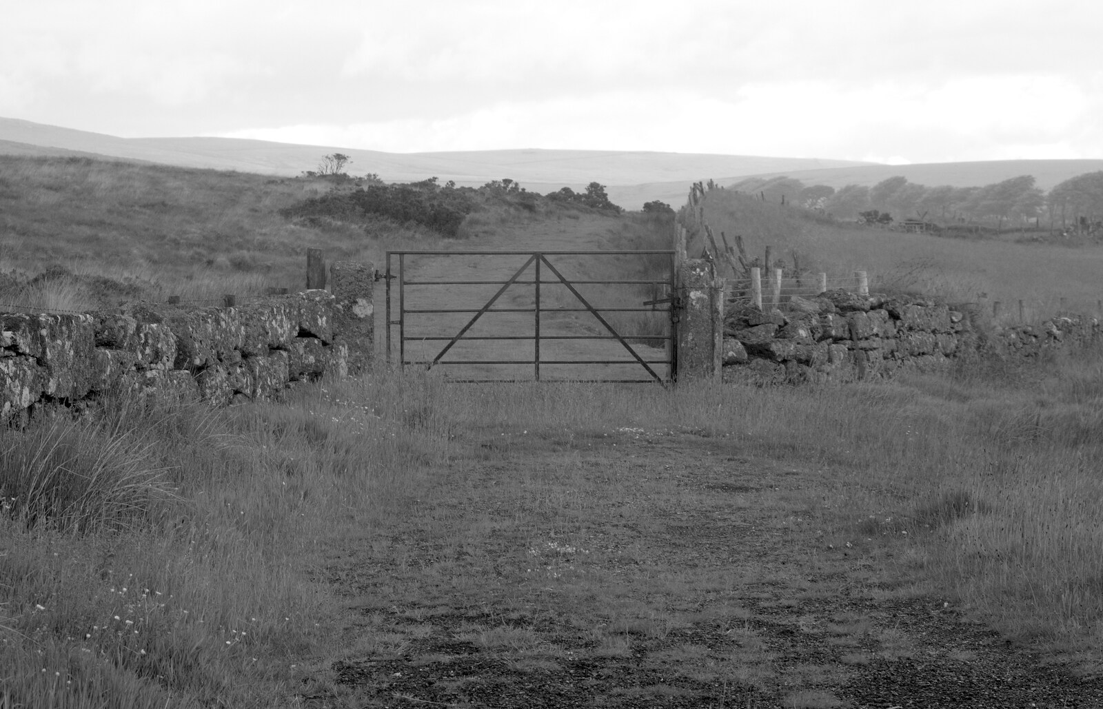 A farm gate on Dartmoor from A Visit to the Aquarium, The Barbican and Dartmoor, Plymouth, Devon - 10th June 2012