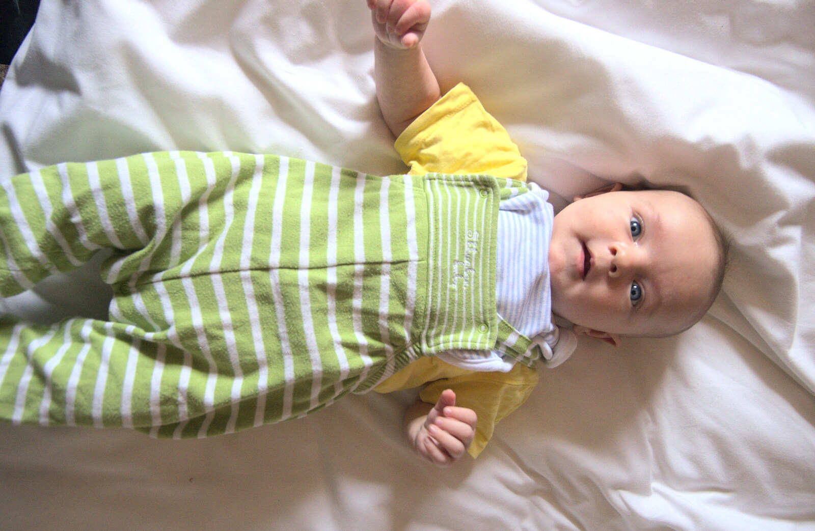 Harry - Baby Gabey - rolls around on the bed from A Night at the Crown Hotel, Southwold, Suffolk - 13th June 2012