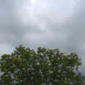 Grey skies over the walnut tree, Morris Dancing and a Carnival Procession, Diss, Norfolk - 17th June 2012