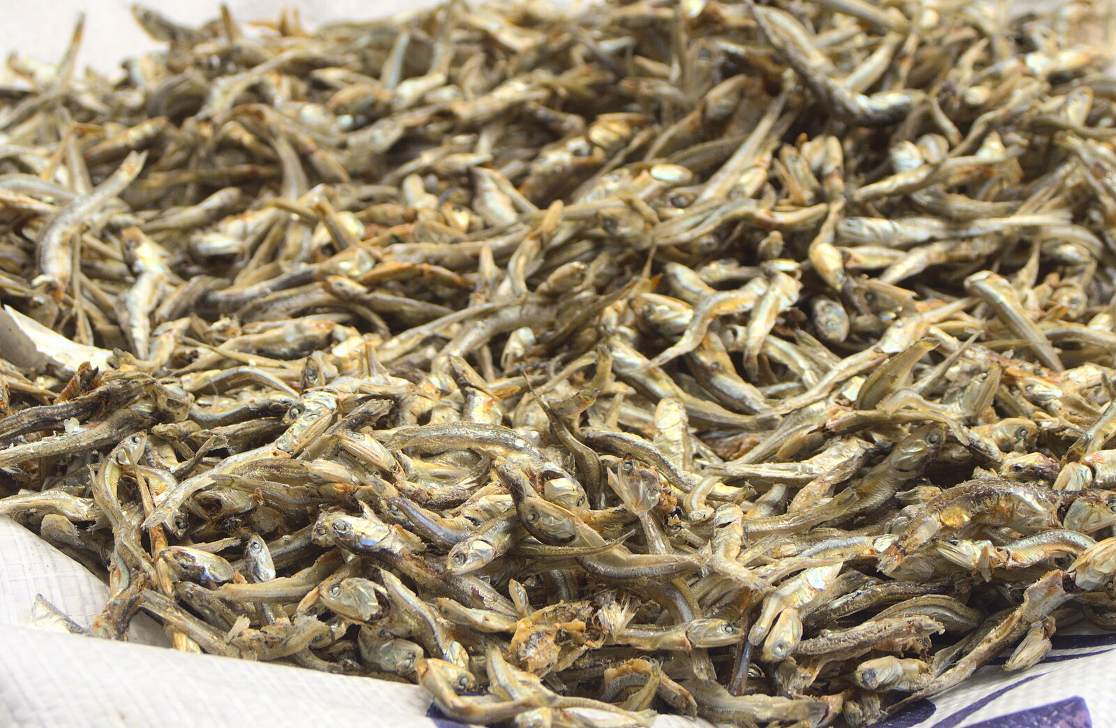 Thousands of tiny dried fishies from Seomun Market, Daegu, South Korea - 1st July 2012