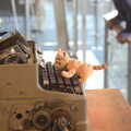 Chris's Tigger is on a typewriter, TouchType does Bletchley Park, Bletchley, Bedfordshire - 20th July 2012