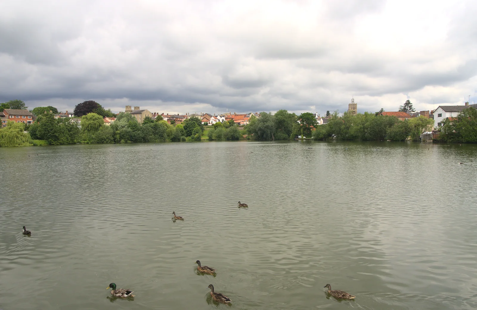 Ducks float around on The Mere, from Stick Game at the Cross Keys, Redgrave, Suffolk - 20th July 2012