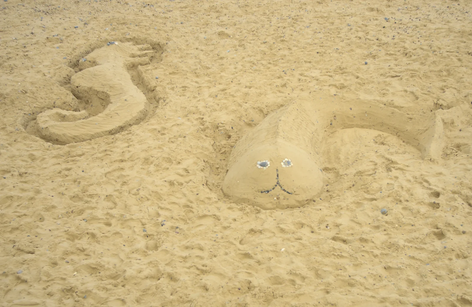 A seahorse and a catfish, made of sand, from The RSPB Charity Bike Ride, Little Glemham, Suffolk - 5th August 2012