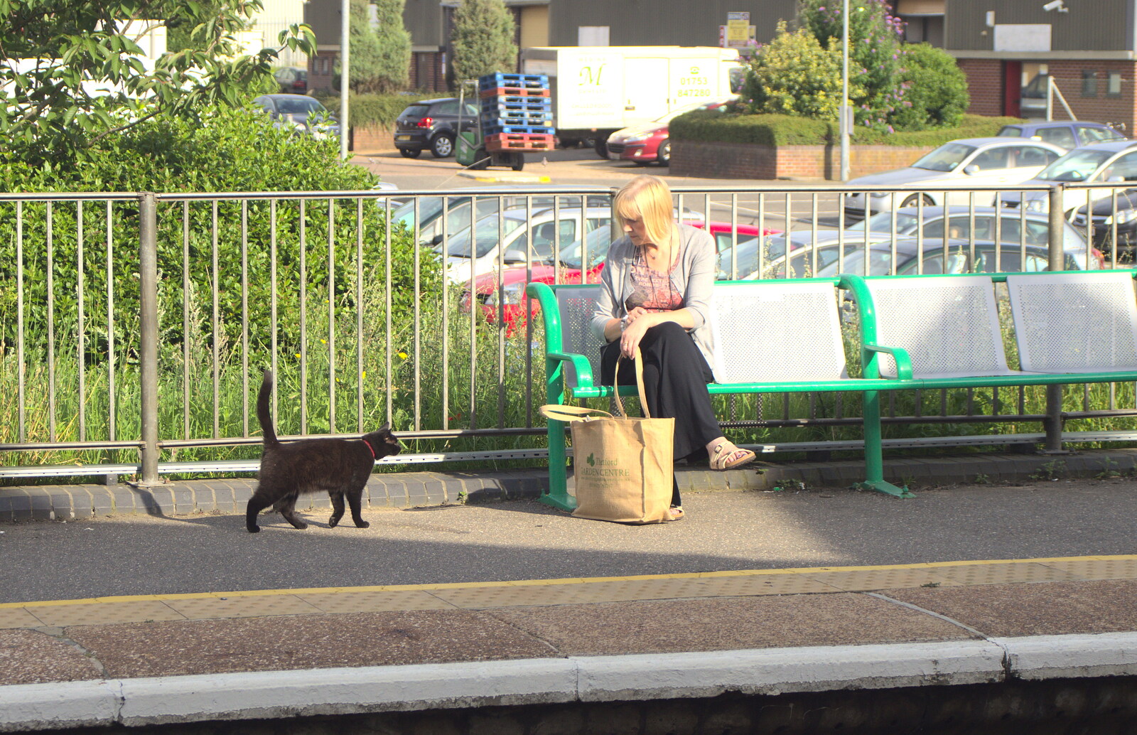 Down at Diss, Station Cat does the rounds from Lunch in Amandines and Southwark Graffiti, London and Diss - 15th August 2012