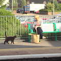 Down at Diss, Station Cat does the rounds, Lunch in Amandines and Southwark Graffiti, London and Diss - 15th August 2012