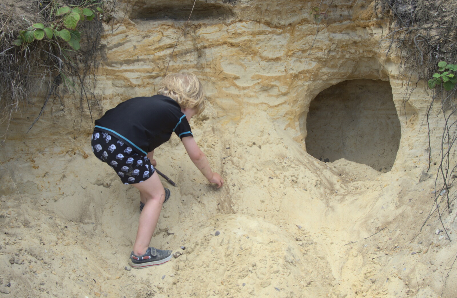 Fred inspects a hole in the cliff from Camping by the Seaside, Cliff House, Dunwich, Suffolk - 15th August 2012
