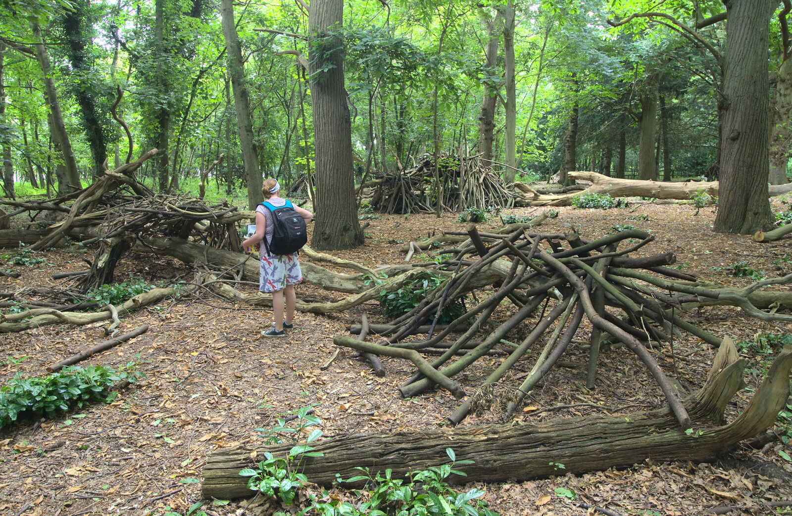 Multiple dens in the woods from Camping by the Seaside, Cliff House, Dunwich, Suffolk - 15th August 2012