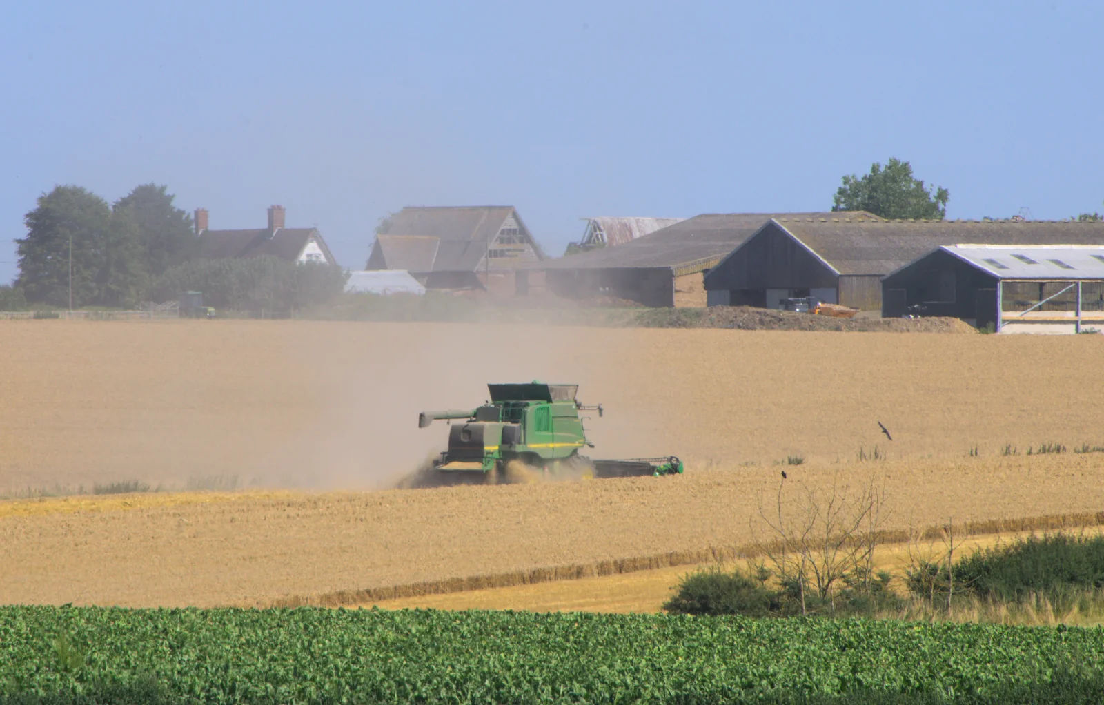 The harvest is in full swing, from "Grandma Julie's" Barbeque Thrash, Bressingham, Norfolk - 19th August 2012