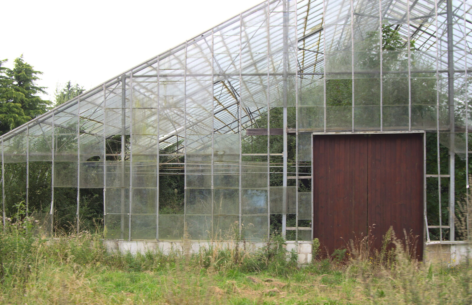 The derelict greenhouses on the way around from A Bressingham Steam Day, Norfolk, 27th August 2012