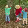 The gang whack a tree, Camping at Dower House, West Harling, Norfolk - 1st September 2012