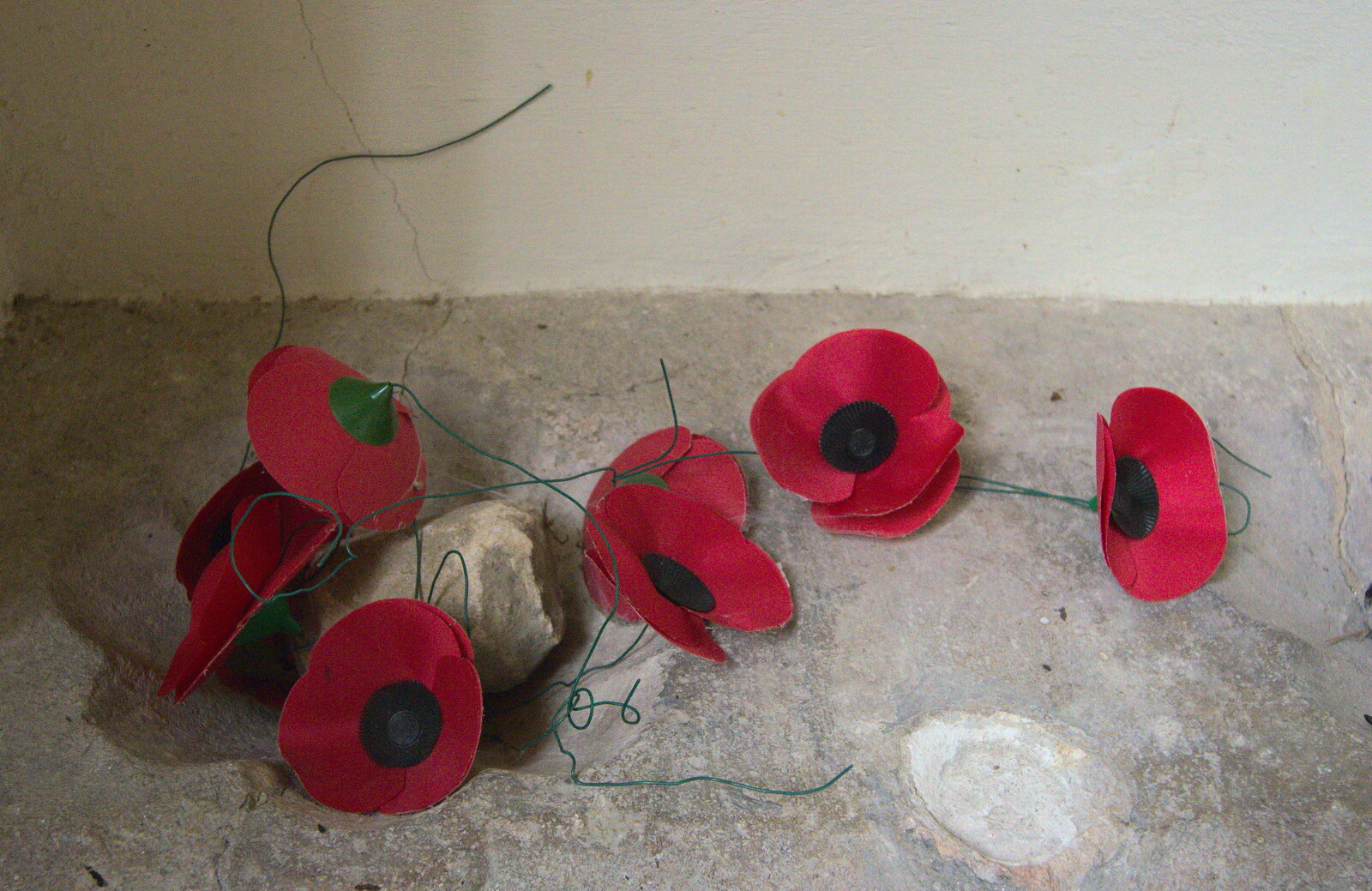 A display of poppies from Camping at Dower House, West Harling, Norfolk - 1st September 2012