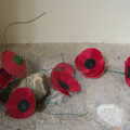 A display of poppies, Camping at Dower House, West Harling, Norfolk - 1st September 2012