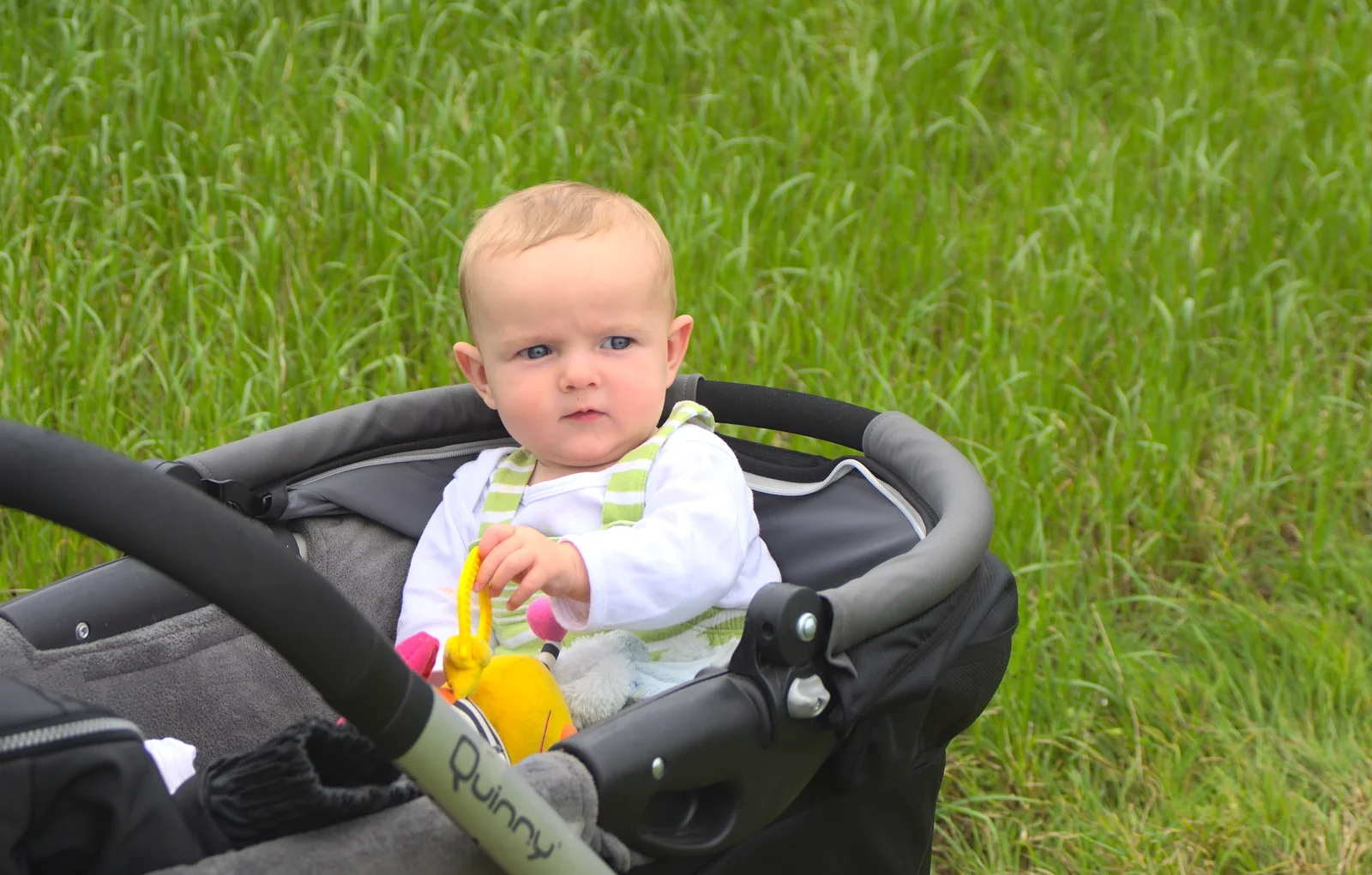 Harry looks perplexed, from Camping at Dower House, West Harling, Norfolk - 1st September 2012