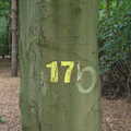 A tree marked as '17', Camping at Dower House, West Harling, Norfolk - 1st September 2012
