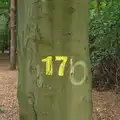 A tree marked as '17', Camping at Dower House, West Harling, Norfolk - 1st September 2012