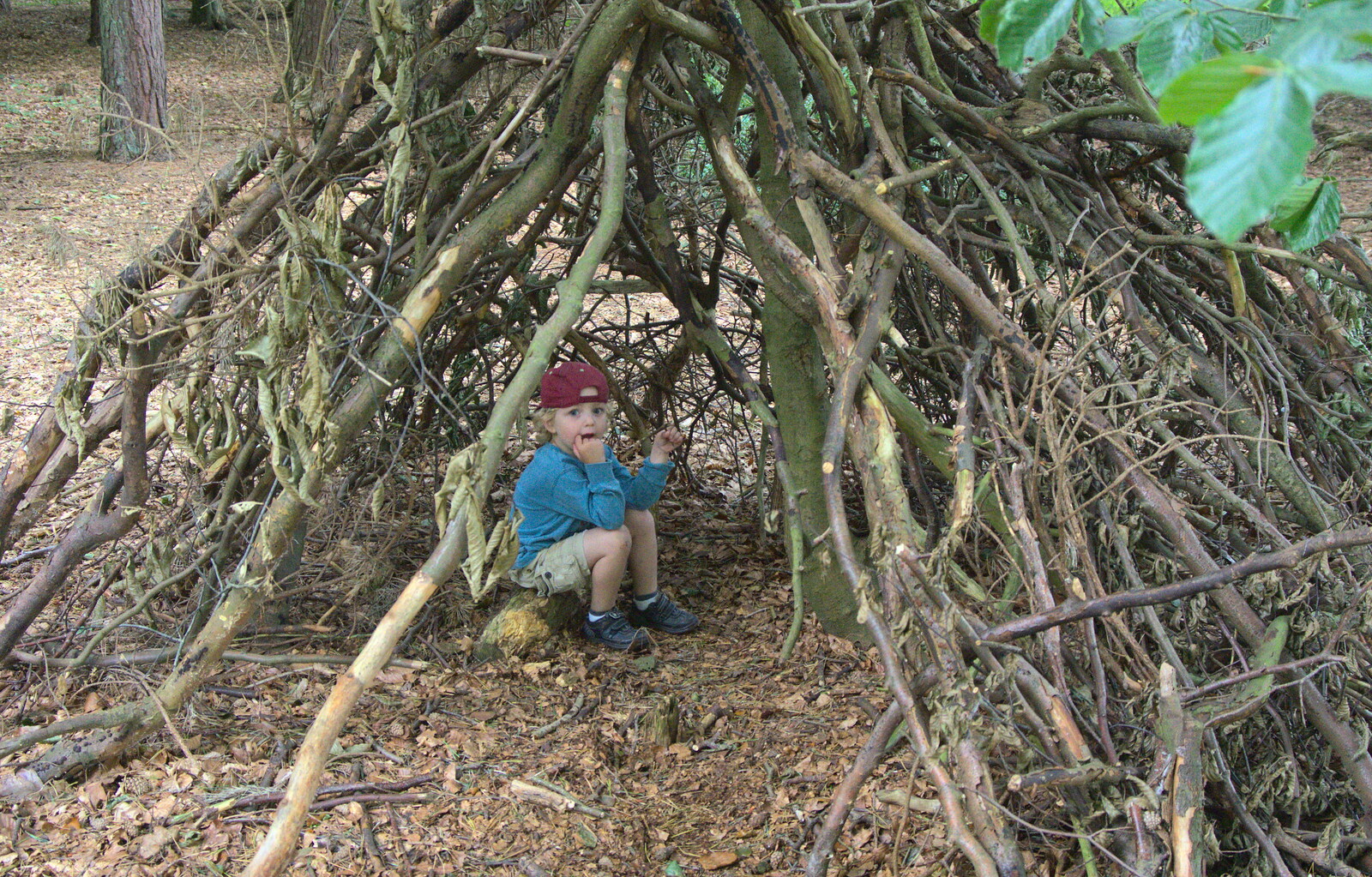 Fred finds a den from Camping at Dower House, West Harling, Norfolk - 1st September 2012