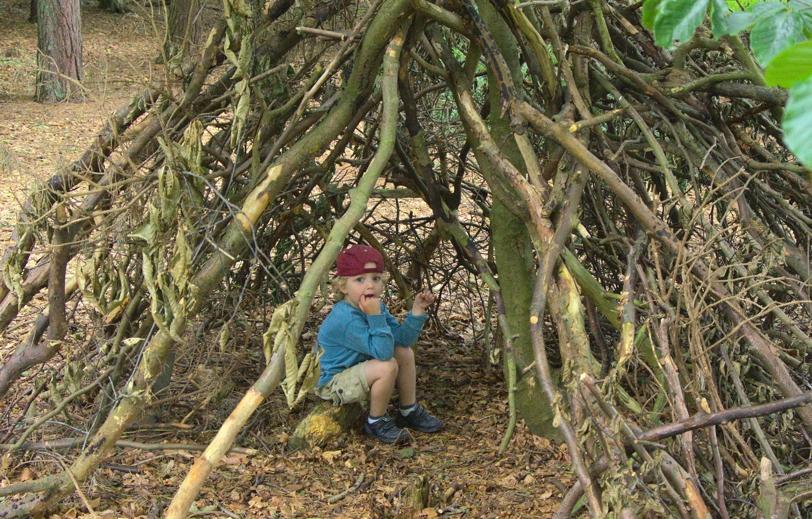 Fred finds a den, from Camping at Dower House, West Harling, Norfolk - 1st September 2012