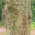 A graffiti'd tree, Camping at Dower House, West Harling, Norfolk - 1st September 2012