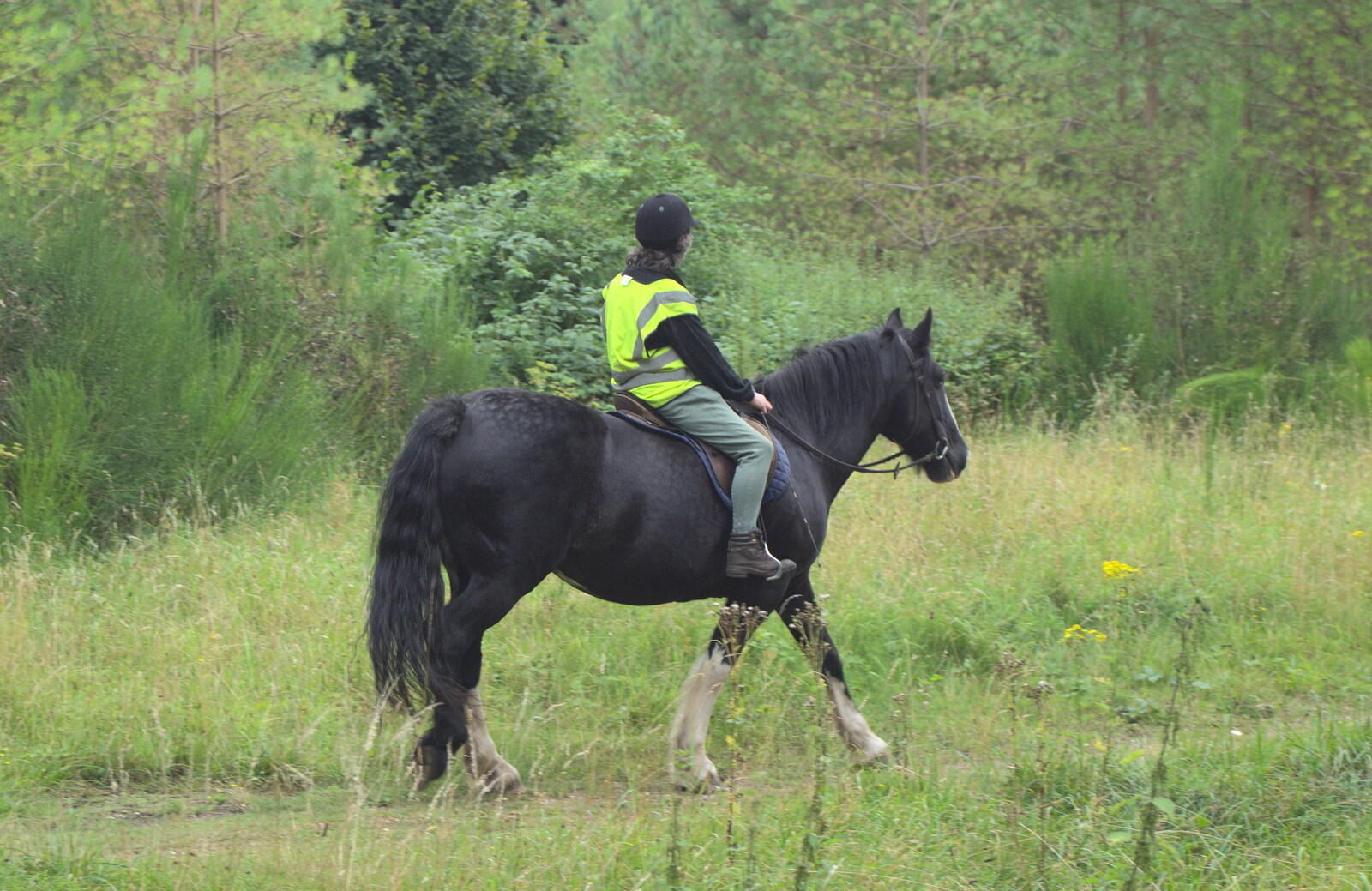 A horse and rider pass by from Camping at Dower House, West Harling, Norfolk - 1st September 2012