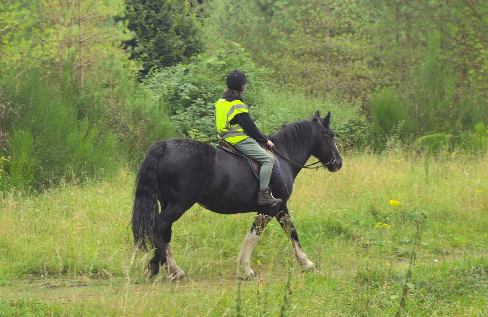 A horse and rider pass by, from Camping at Dower House, West Harling, Norfolk - 1st September 2012