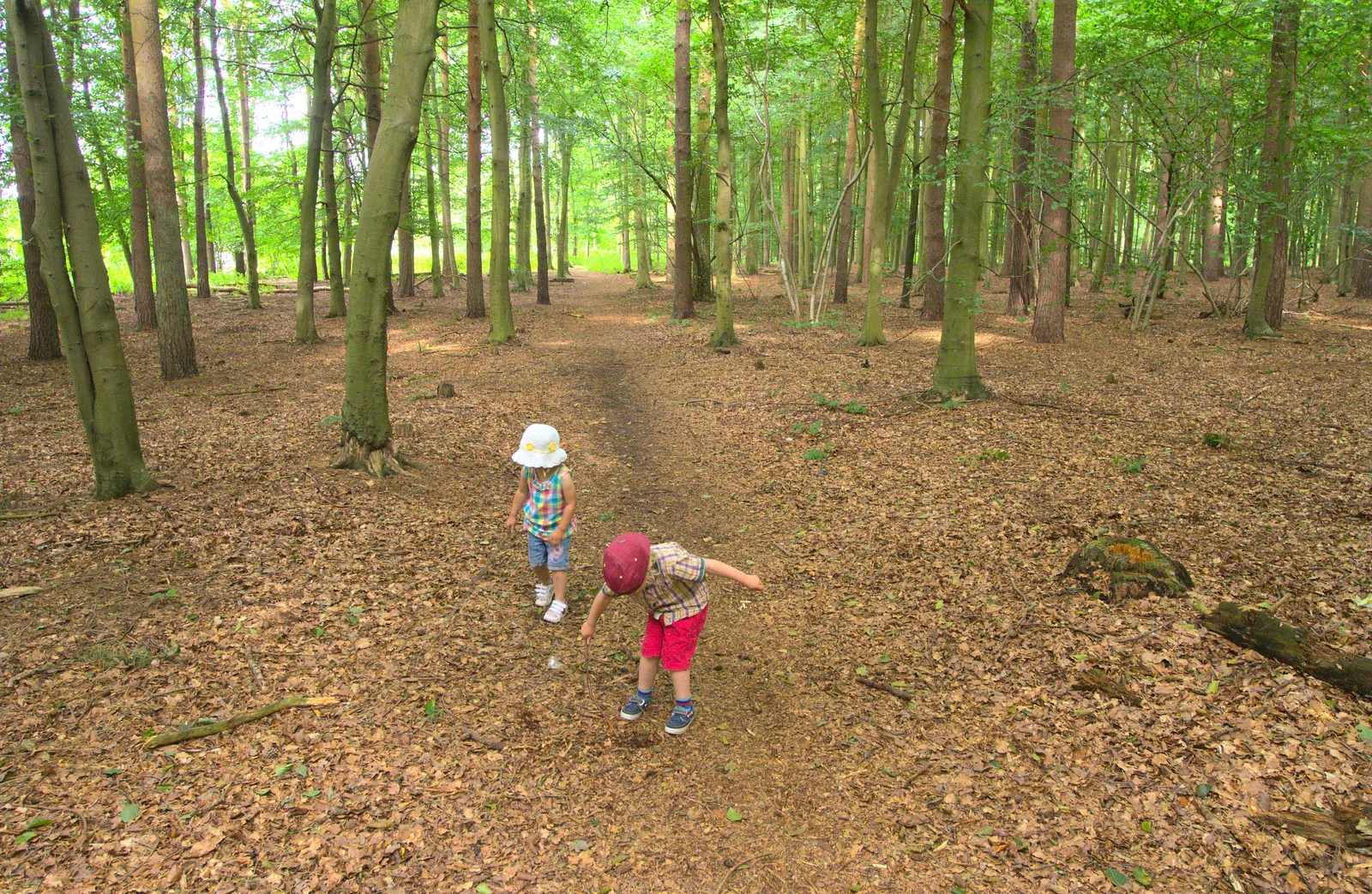 We're back in the woods, from Camping at Dower House, West Harling, Norfolk - 1st September 2012