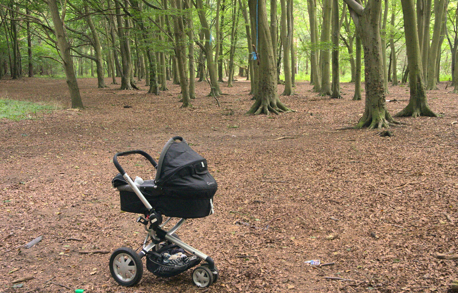 Harry's buggy is alone in the woods from Camping at Dower House, West Harling, Norfolk - 1st September 2012