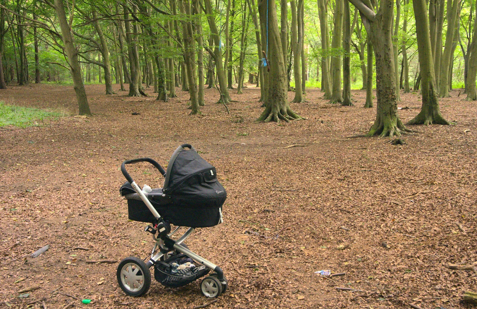 Harry's buggy is alone in the woods, from Camping at Dower House, West Harling, Norfolk - 1st September 2012