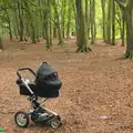 Harry's buggy is alone in the woods, Camping at Dower House, West Harling, Norfolk - 1st September 2012