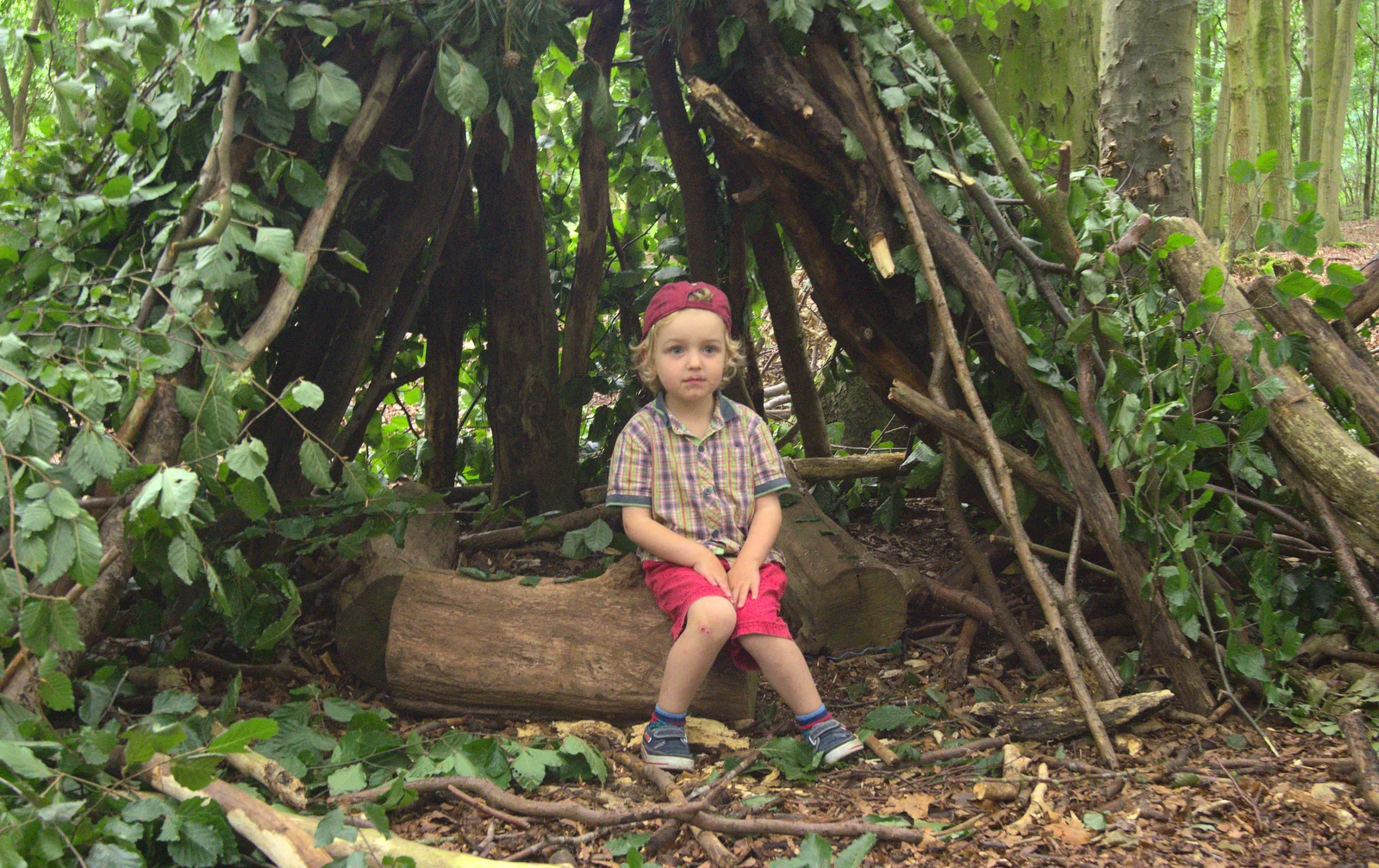 Fred sits on a log and looks sad, from Camping at Dower House, West Harling, Norfolk - 1st September 2012