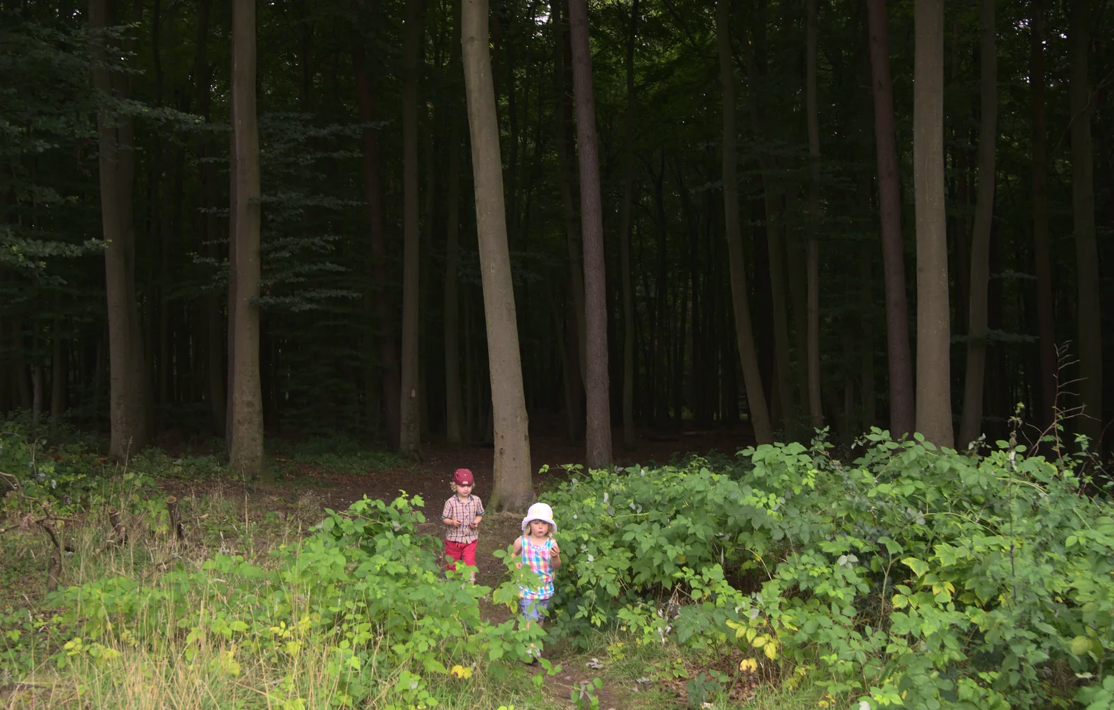 Fred and Sophie exit the dark woods, from Camping at Dower House, West Harling, Norfolk - 1st September 2012