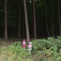 Fred and Sophie exit the dark woods, Camping at Dower House, West Harling, Norfolk - 1st September 2012
