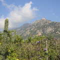 Cacti and mountains, A Trip to Sóller, Mallorca, Spain - 8th-14th September 2012