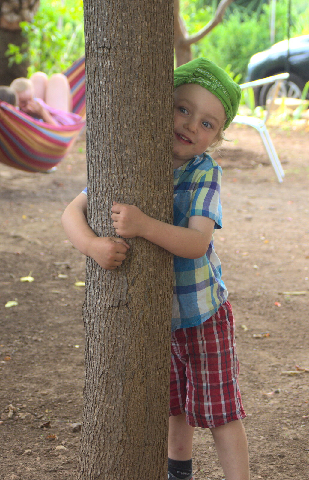Fred clings on to a tree from A Trip to Sóller, Mallorca, Spain - 8th-14th September 2012