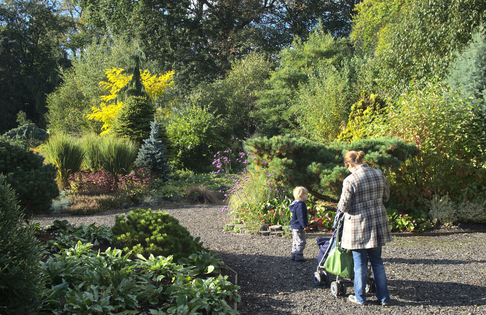 We wander around the gardens from Alan Bloom's Gardens, Bressingham, Norfolk - 6th October 2012