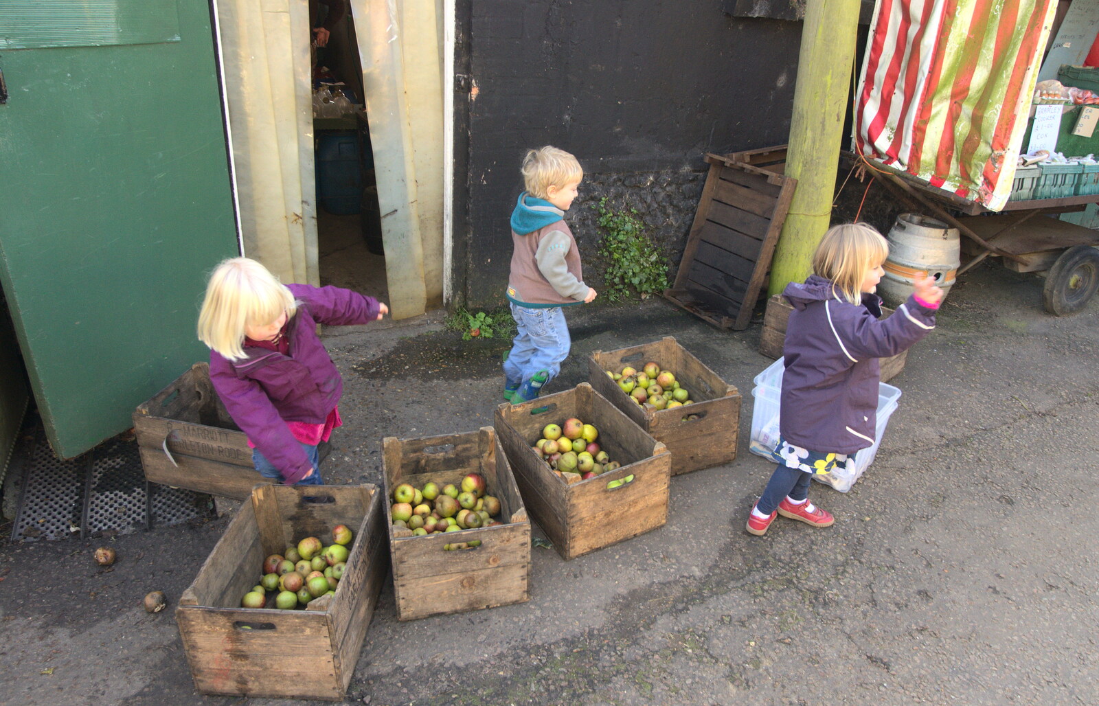 The kids run around the apple boxes from An Appley Sort of Zoo Day, Carleton Rode and Banham, Norfolk - 14th October 2012