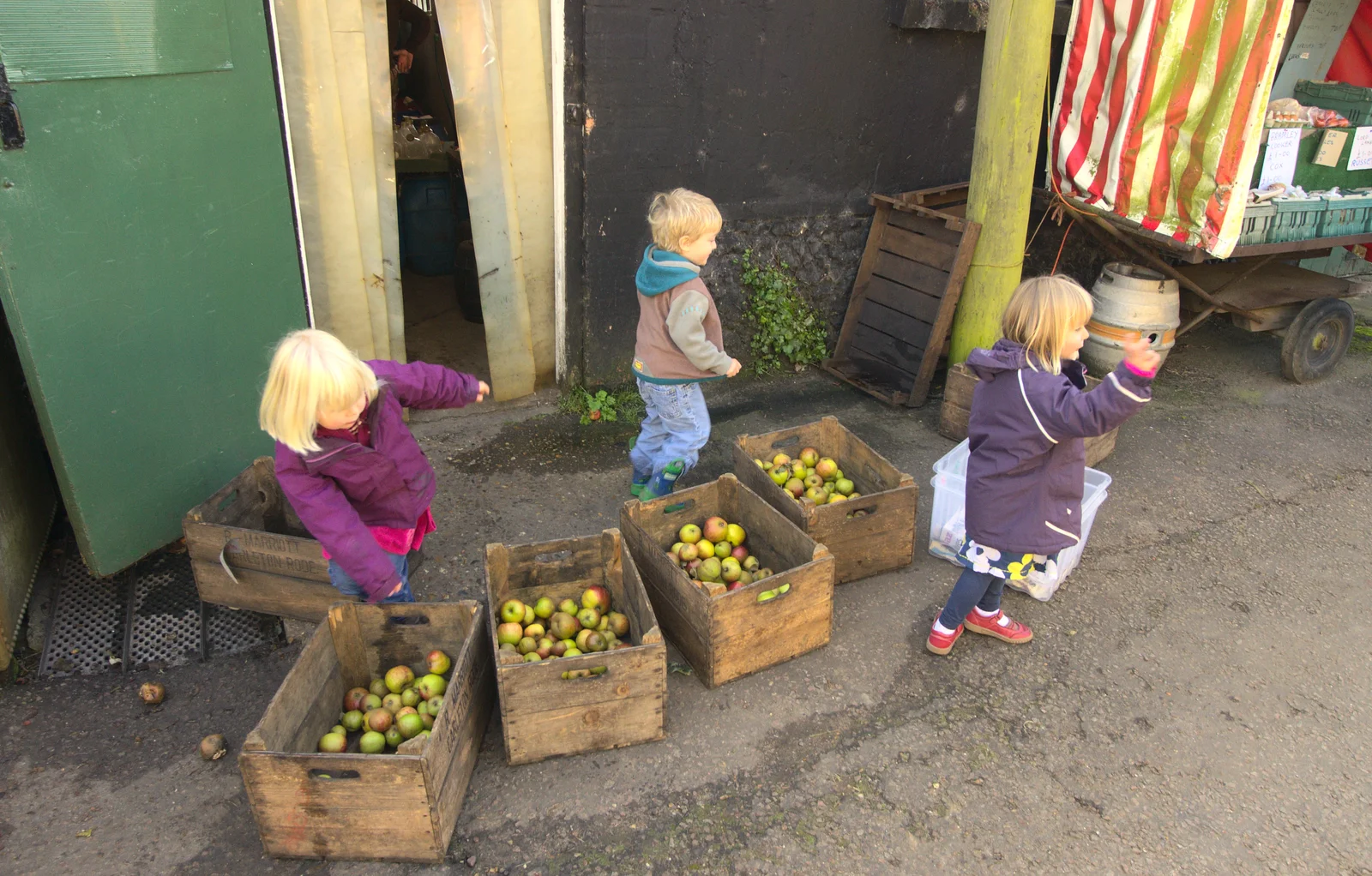 The kids run around the apple boxes, from An Appley Sort of Zoo Day, Carleton Rode and Banham, Norfolk - 14th October 2012