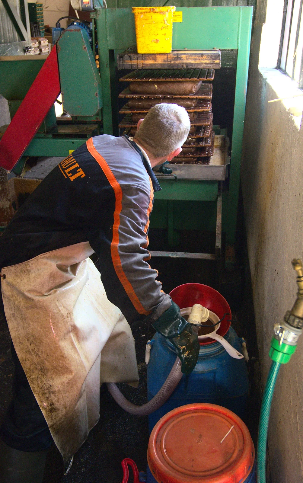 Juice starts to flow out, even before pressing, from An Appley Sort of Zoo Day, Carleton Rode and Banham, Norfolk - 14th October 2012