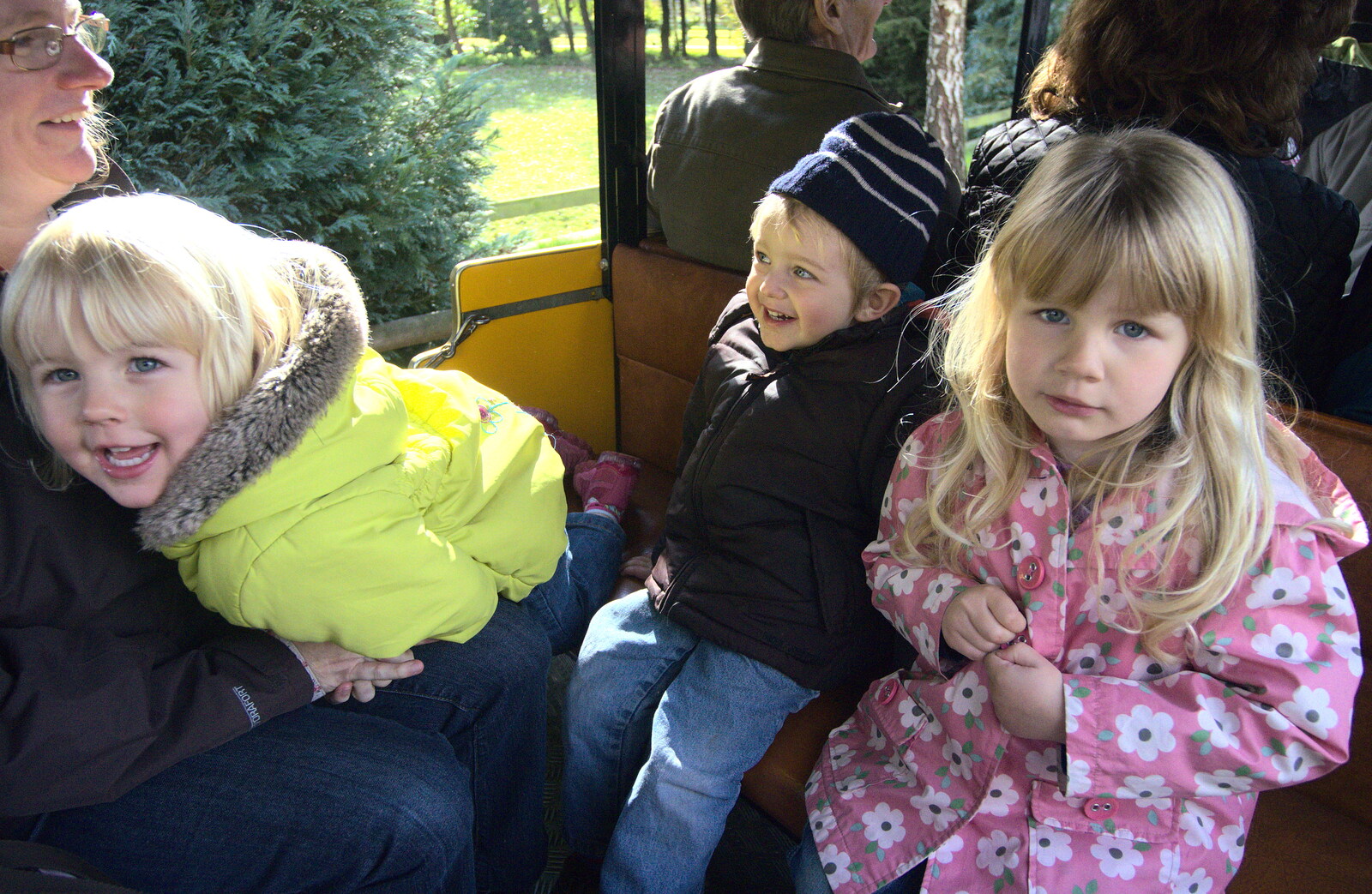 The gang on the train from An Appley Sort of Zoo Day, Carleton Rode and Banham, Norfolk - 14th October 2012