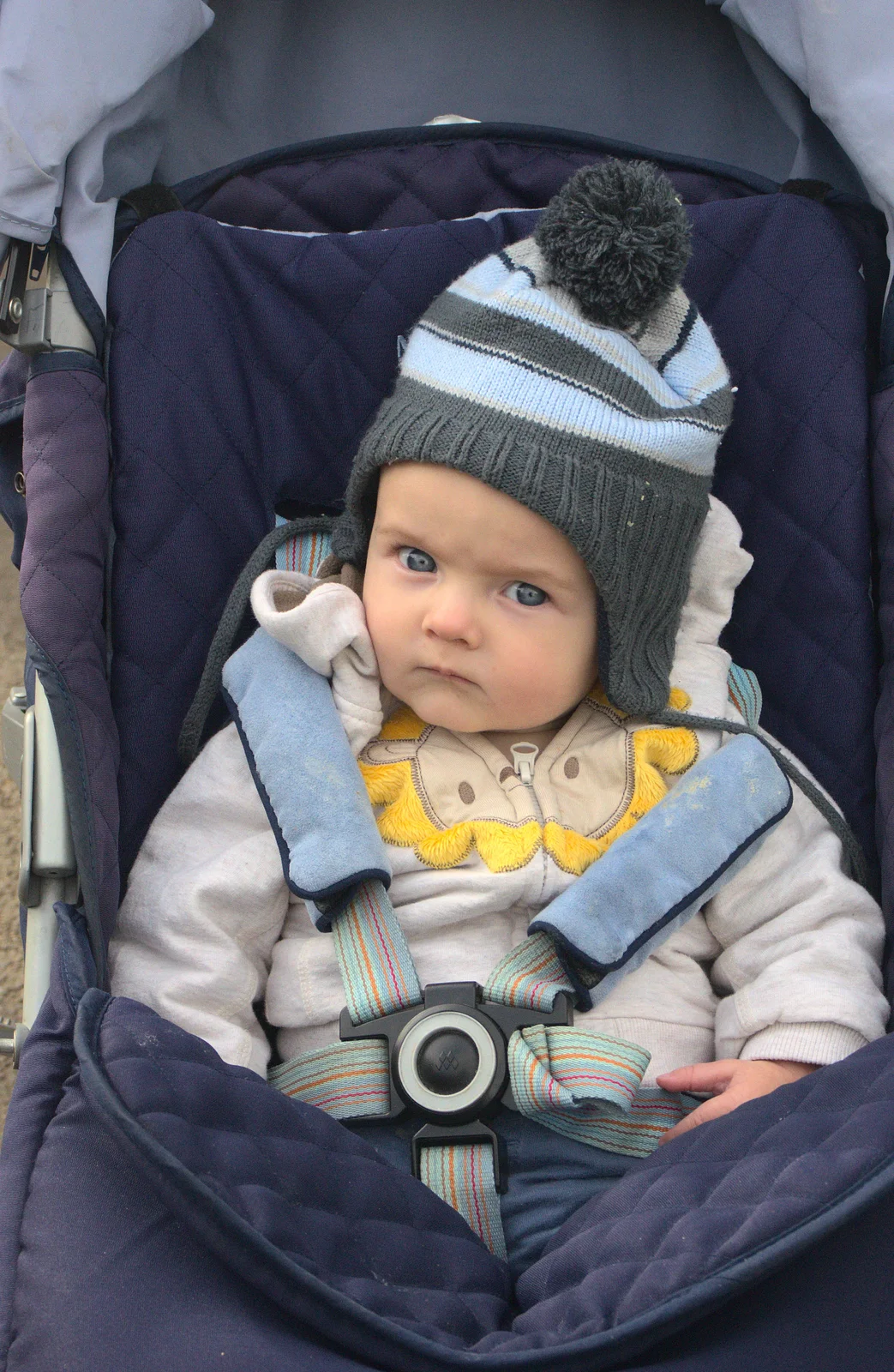 Harry scowls from his buggy, from An Appley Sort of Zoo Day, Carleton Rode and Banham, Norfolk - 14th October 2012