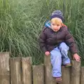 Fred jumps off a log fence, An Appley Sort of Zoo Day, Carleton Rode and Banham, Norfolk - 14th October 2012