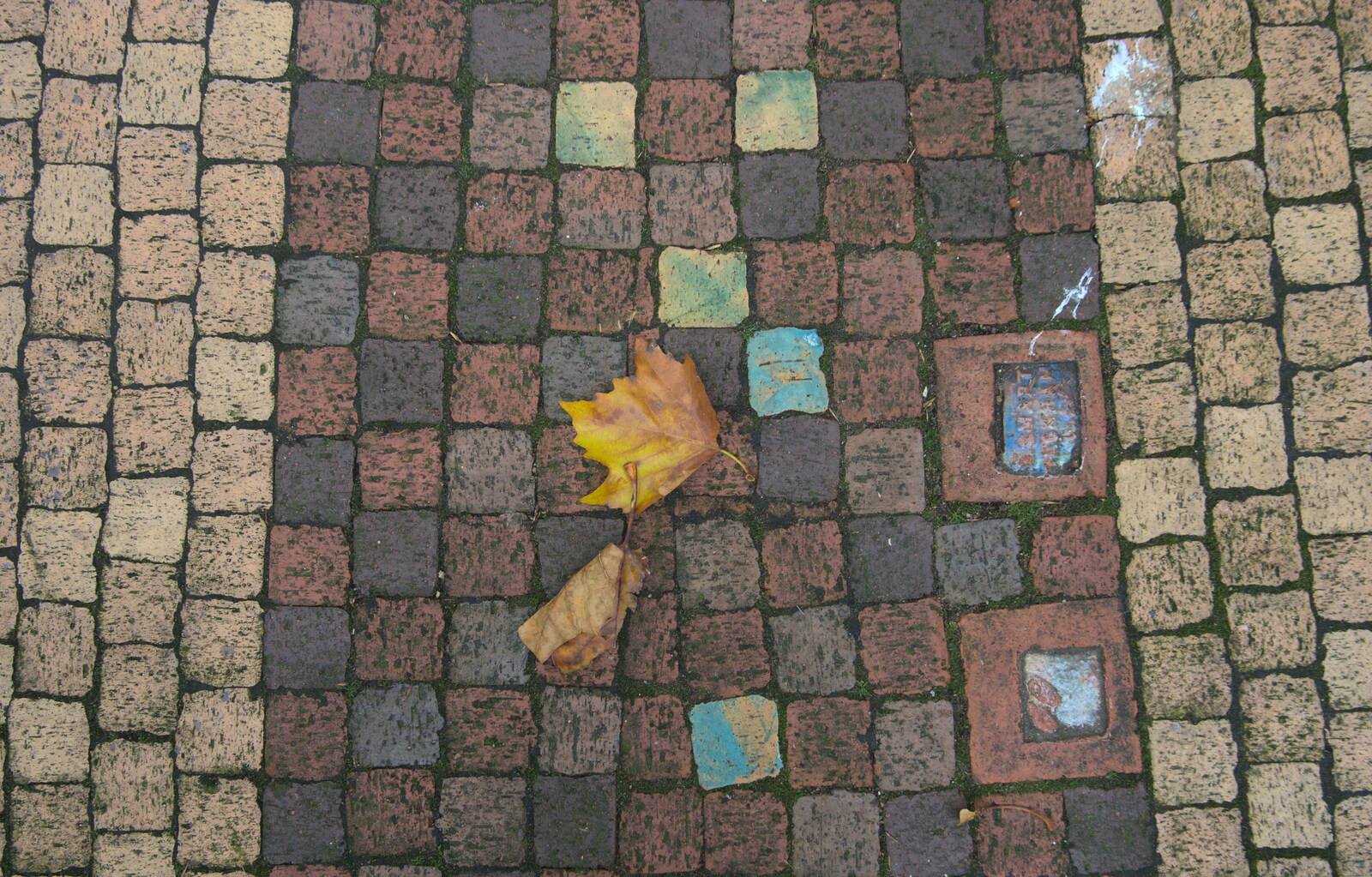 Tiles and leaves outside Petitou from Another Trip to Peckham, Southwark, London - 28th October 2012