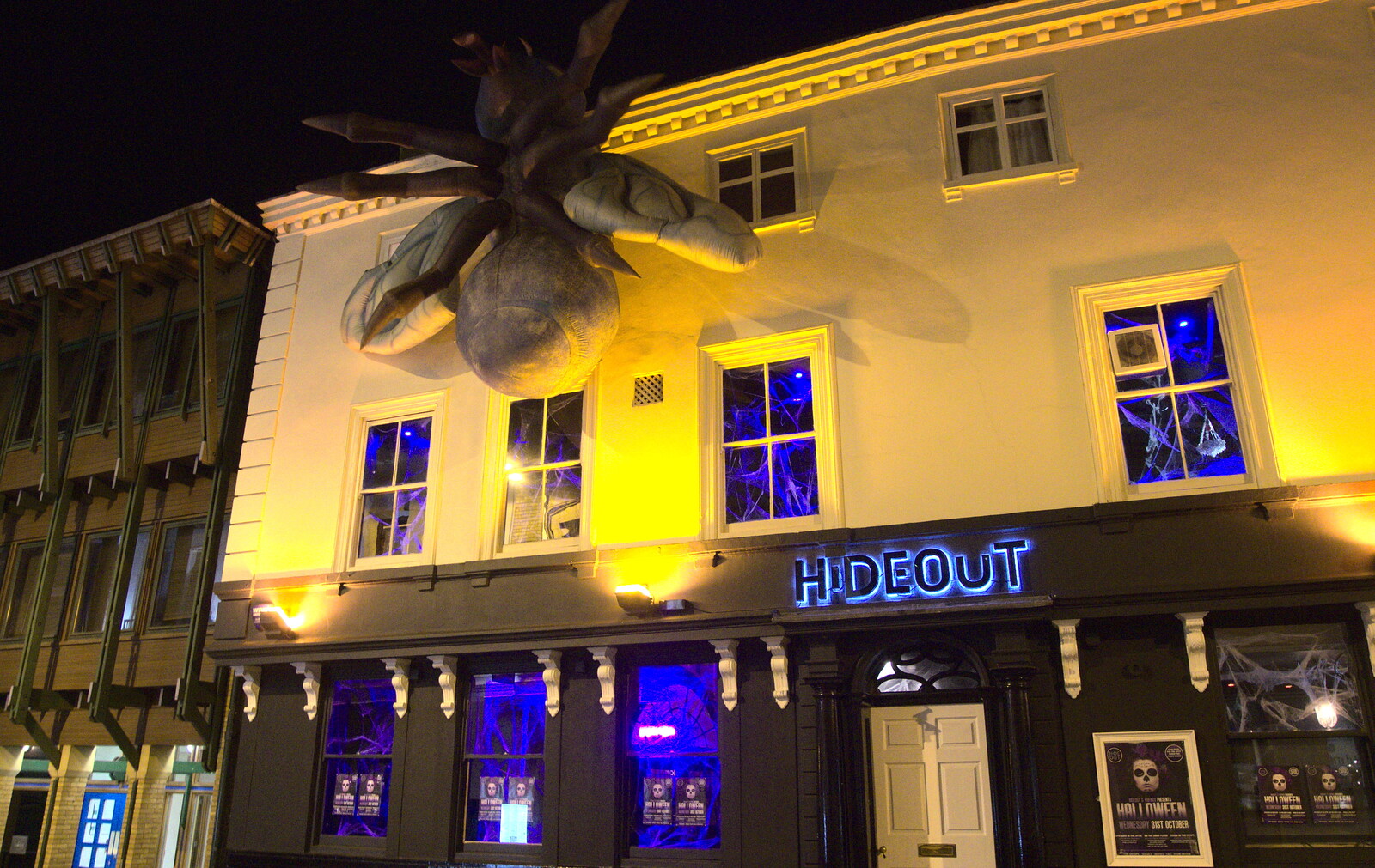 There's a giant spider stuck to Hideout nightclub from The 35th Norwich Beer Festival, St. Andrew's Hall, Norwich - 31st October 2012