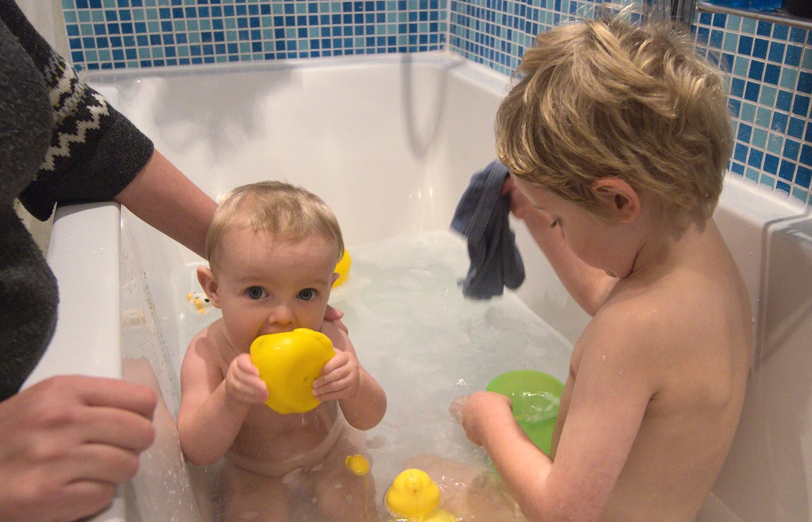 Harry and Fred have a bath, from Butterflies and Fireworks, Brome and Wortham, Suffolk and Norfolk - 3rd November 2012