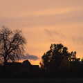 A nice sunset over the side field, A Busy Day, Southwold and Thornham, Suffolk - 11th November 2012