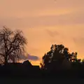 There's a nice sunset over the side field, A Busy Day, Southwold and Thornham, Suffolk - 11th November 2012