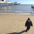 Fred stumps around on the beach, A Busy Day, Southwold and Thornham, Suffolk - 11th November 2012