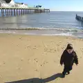 Fred stumps around on the beach, A Busy Day, Southwold and Thornham, Suffolk - 11th November 2012